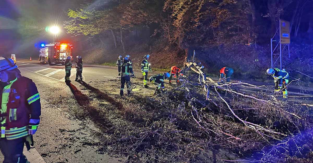 Feuerwehr Schermbeck beseitigt umgestürzten Baum auf der Weseler Straße nach Sturmschaden