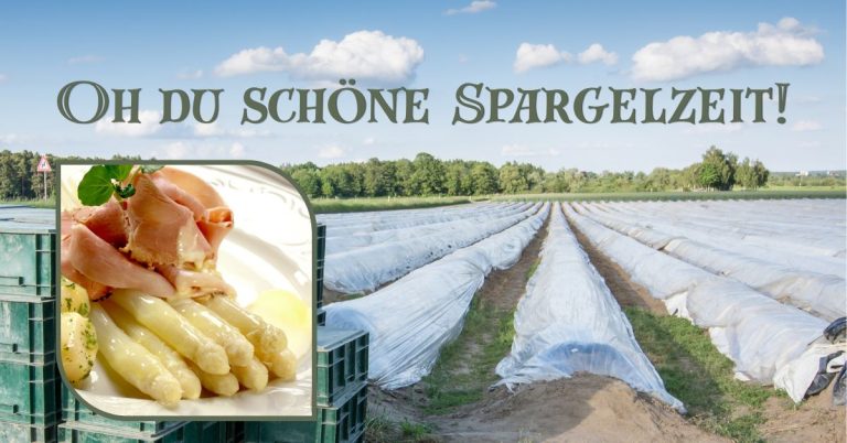 Spargel Hoftour 03.2026