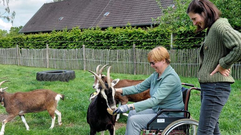 Tiergestützte Therapie auf Hof Lühlerheide