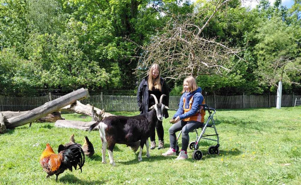 Tiergestützte Therapie auf Hof Lühlerheide