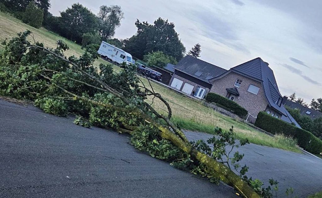 Feuerwehr Schermbeck beseitigt Sturmschaden mit umgestürztem Baum an der Marienthaler Straße