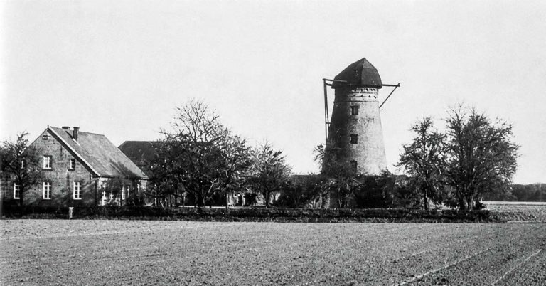 Windmühle Holtmann in Damm: Sanierung beginnt mit Abnahme der Haube